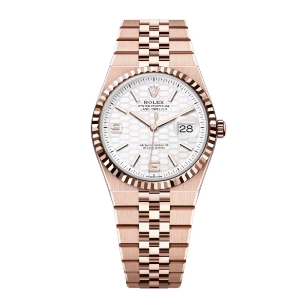 Rolex Land-Dweller 36 mm Everose gold (2025)